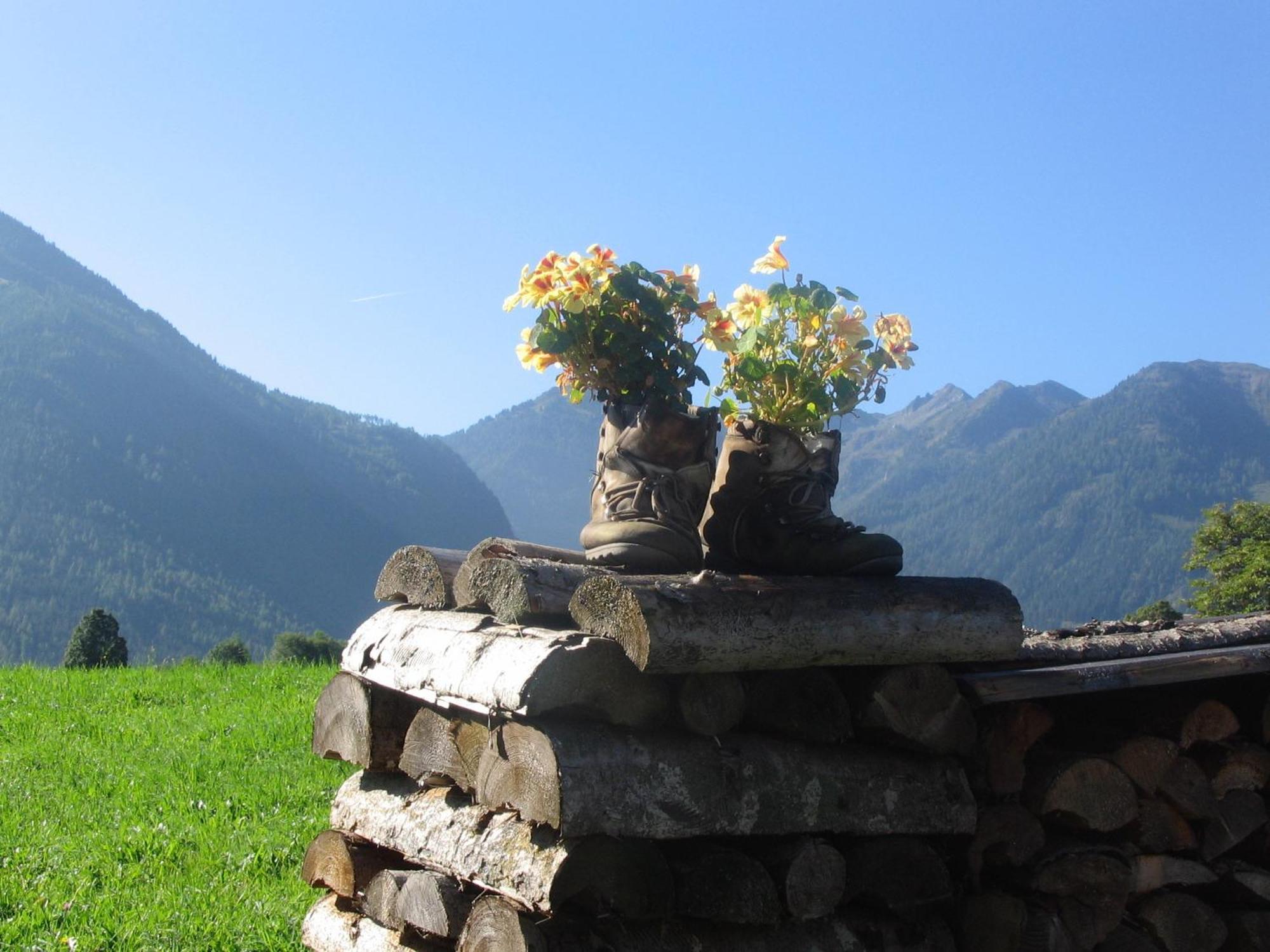 Landhaus Steiner Schladming Exterior foto