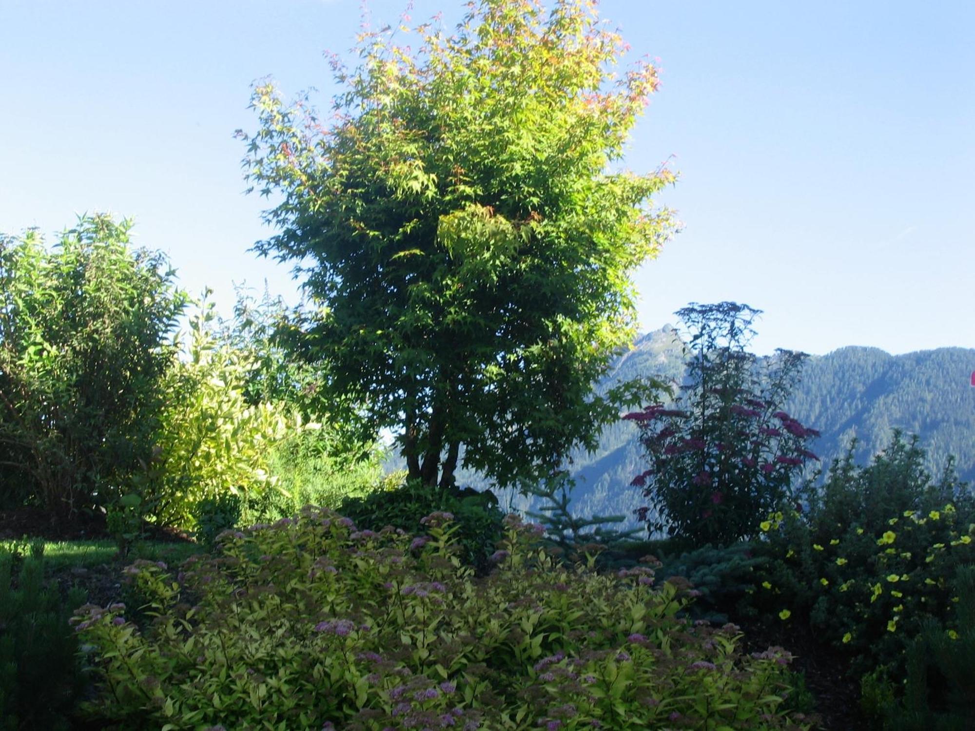 Landhaus Steiner Schladming Exterior foto